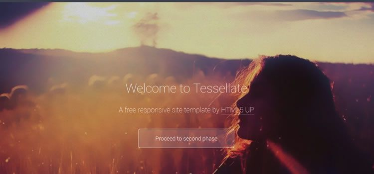 Tessellate css響應式HTML模板網頁設計免費