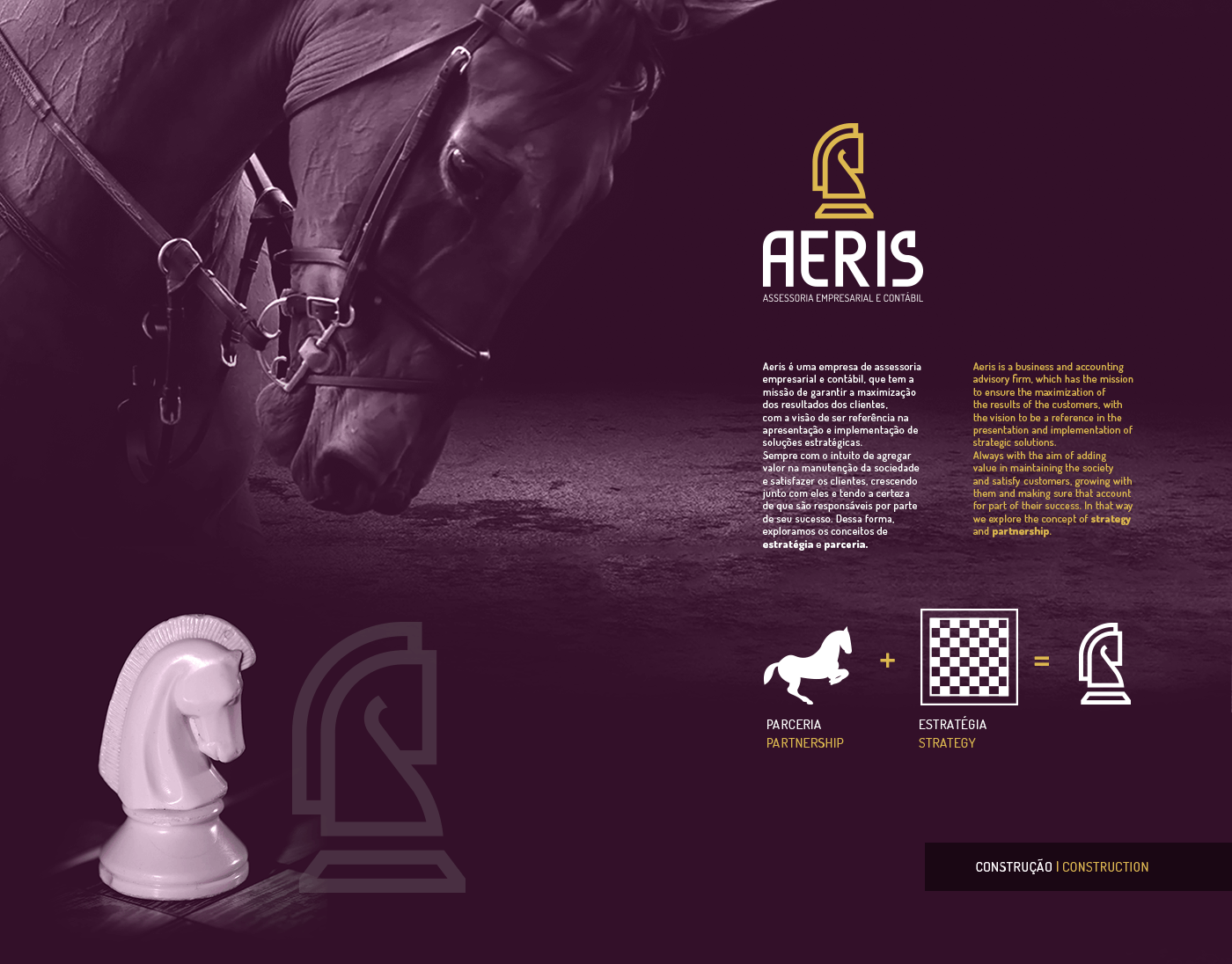 AERIS 商業會計咨詢公司logo設計，馬首+國際象棋元素