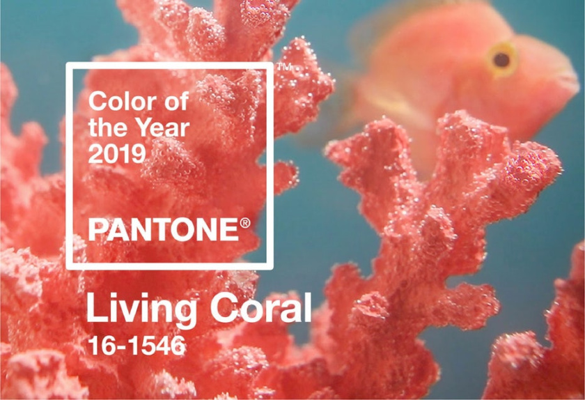 Living Coral顏色，只要看看這種顏色的靈感