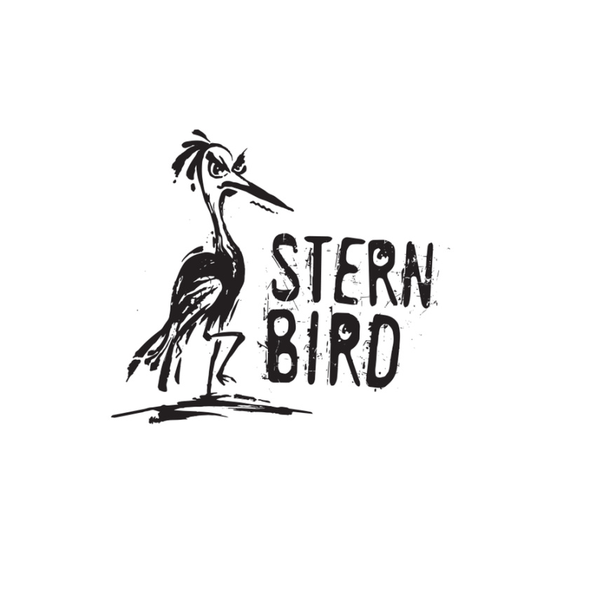 原始和不完善的手繪logo設計-鳥的形象logo