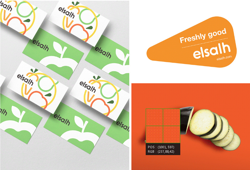 Elsalh 新鮮蔬菜水果配送公司品牌形象設計-logo,vi與產品包裝設計