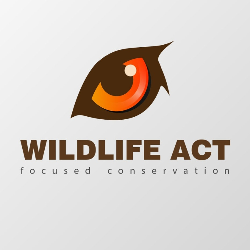野生動物法眼睛標志設計