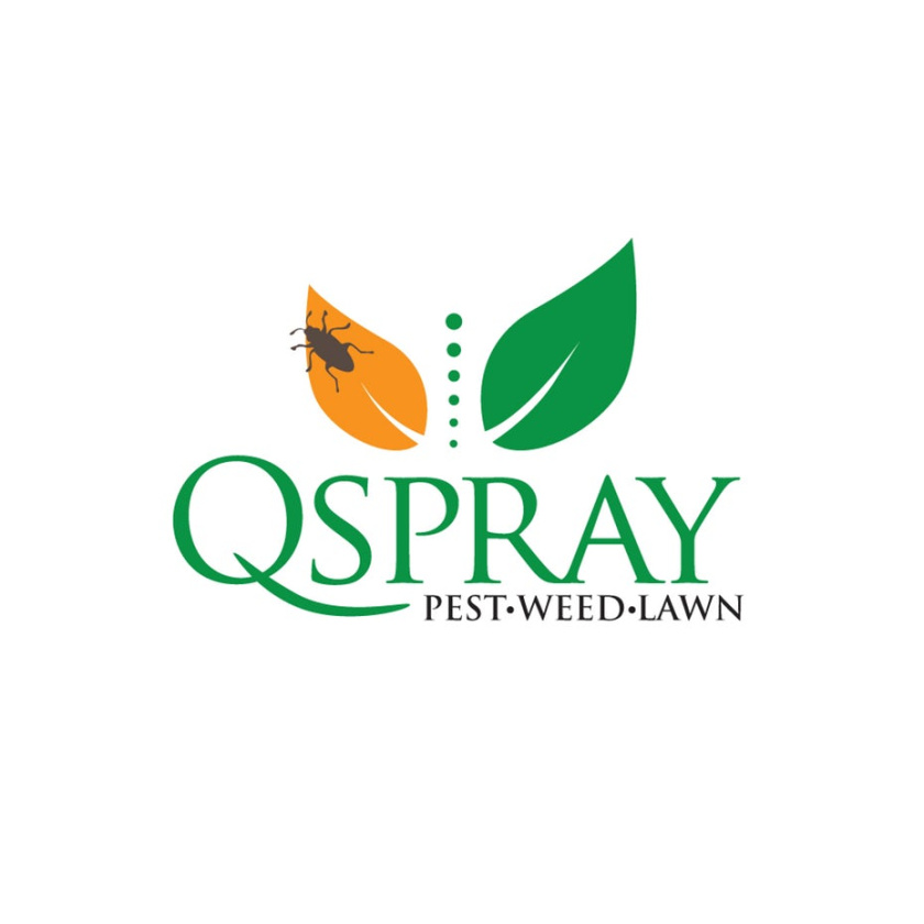 兩片葉子，一片橙色，上面有一個蟲子，一片綠色，上面寫著“QSpray Pest Weed Lawn”