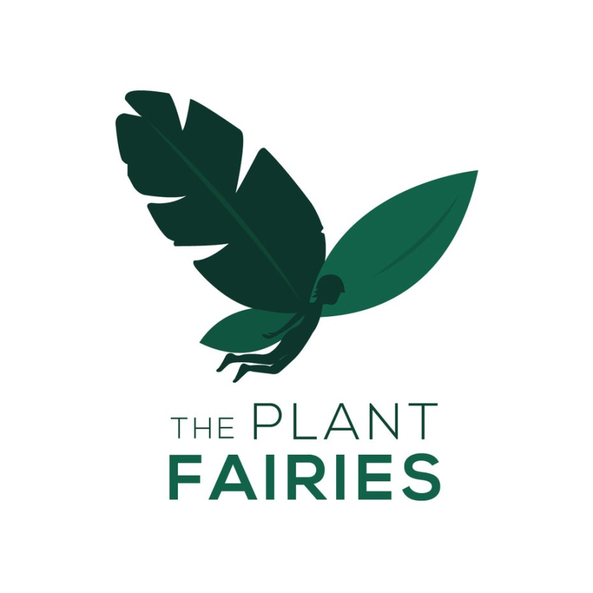 一個仙女的輪廓為其中一個翅膀和文本“植物仙女”logo設計