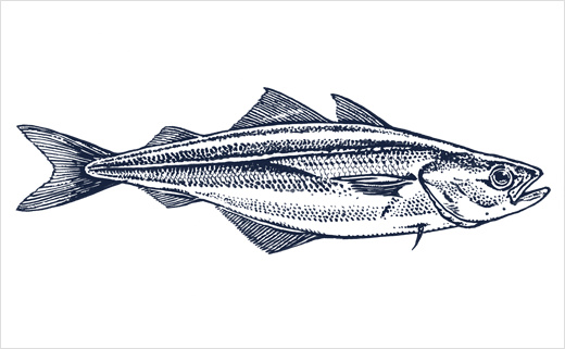 海魚插畫圖片