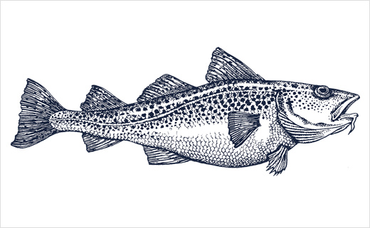 海魚插畫圖片