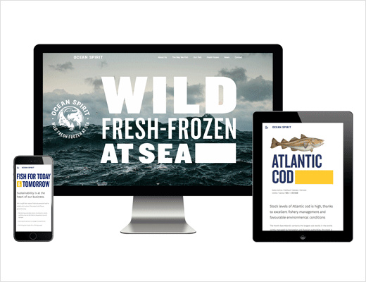 Ocean Trawlers 海鮮冷凍魚品牌logo設(shè)計(jì)與包裝設(shè)網(wǎng)站設(shè)計(jì)