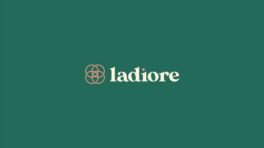 ladiore 女性時尚品牌logo設(shè)計與視覺識別vi設(shè)計，源自四個象征