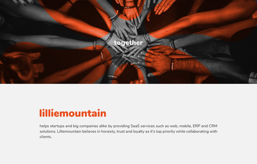 Lilliee 互聯(lián)網IT科技公司品牌形象設計-logo/vi設計