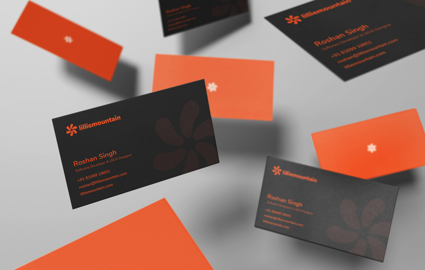 Lilliee 互聯(lián)網IT科技公司品牌形象設計-logo/vi設計