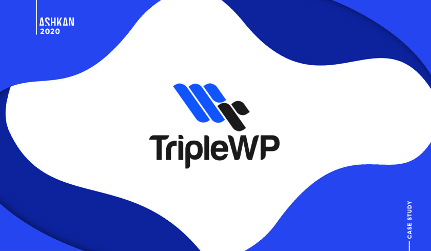 TripleWP wordpress模板網(wǎng)站科技公司logo設(shè)計與vi設(shè)計，科技藍(lán)色風(fēng)格