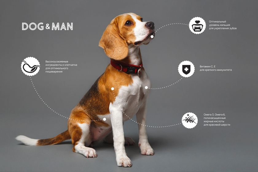 DOG&MAN 狗糧寵物食品包裝設(shè)計，男人與狗的親密照片