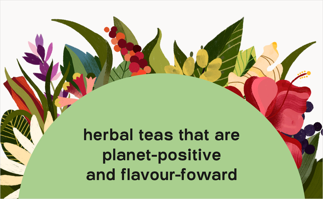 Kib''''天然保健花草茶茶葉包裝設計--手繪插畫設計