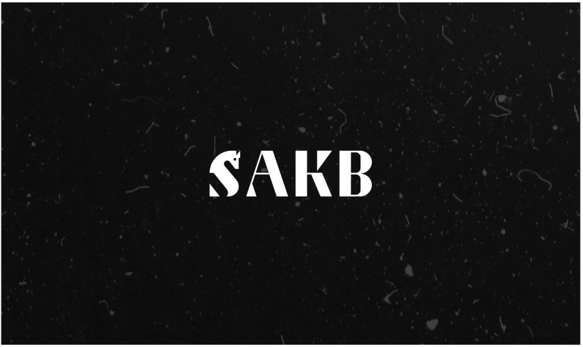 SAKB可再生能源建筑公司企業(yè)vi形象設計—S+國際象棋馬logo設計與棋盤輔助圖形設計