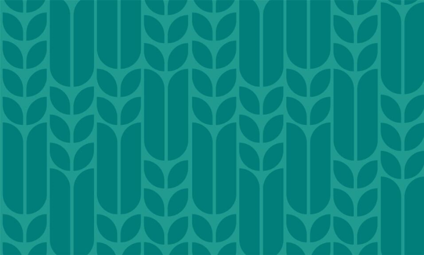 Agrotech農業科技公司品牌形象設計與“禾苗葉子”vi輔助圖形設計 Agrotech農業科技公司品牌形象設計與“禾苗葉子”vi輔助圖形設計