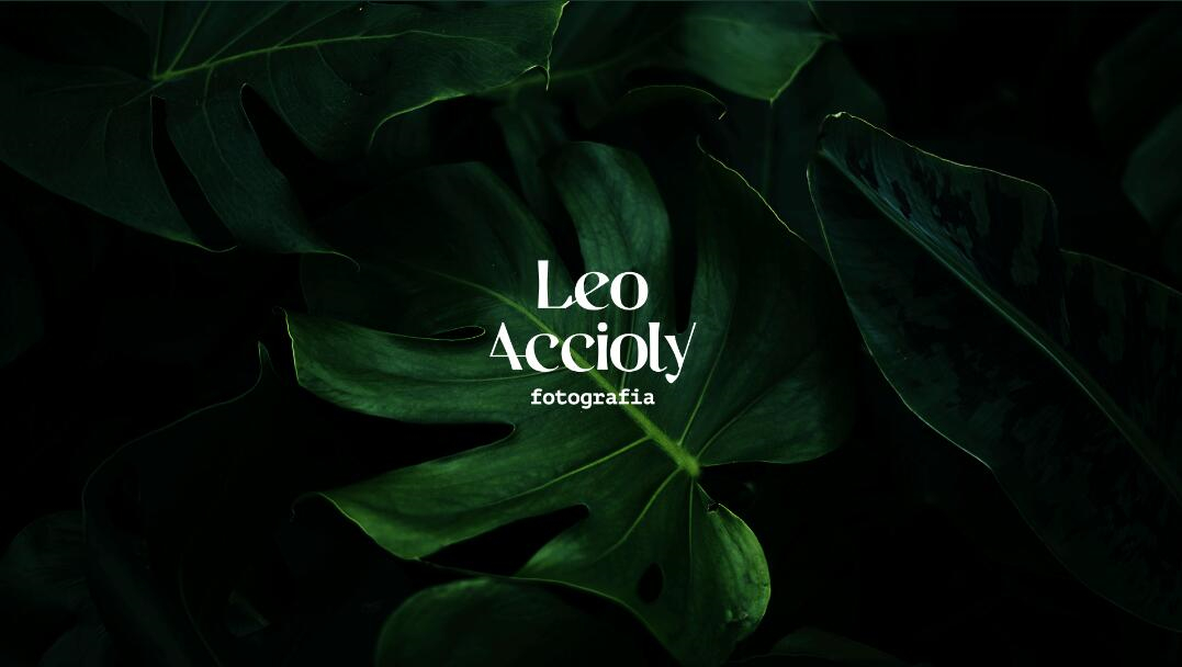 Leo Accioly 高質(zhì)量攝影公司品牌識別設(shè)計(jì)