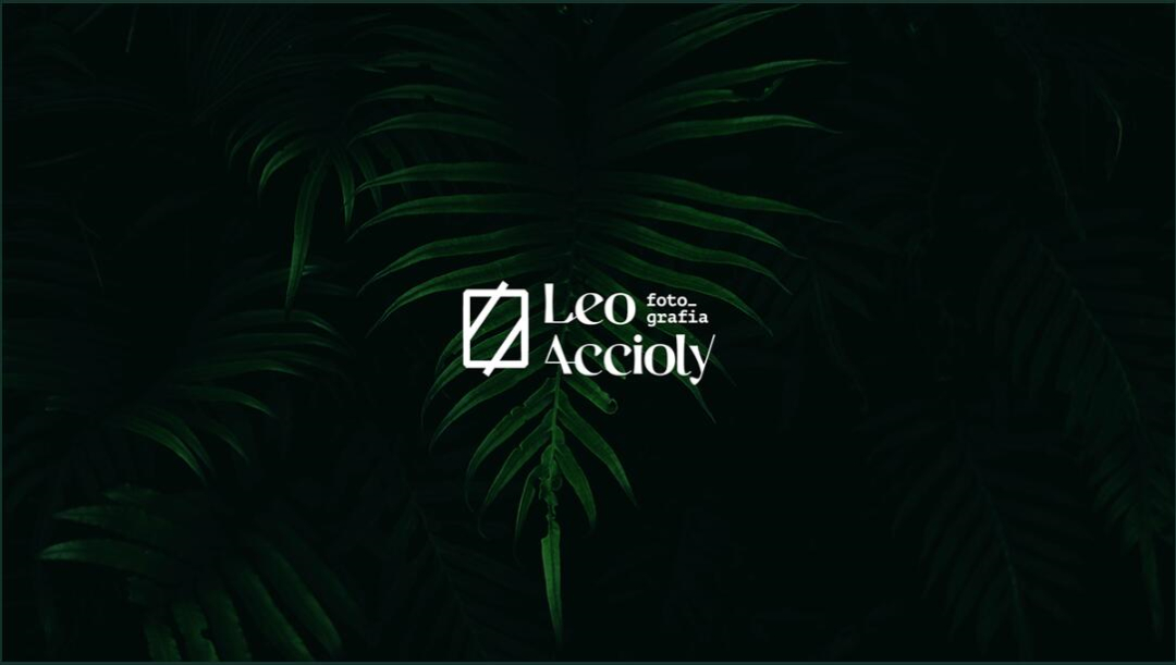 Leo Accioly 高質(zhì)量攝影公司品牌識別設(shè)計(jì)logo設(shè)計(jì)