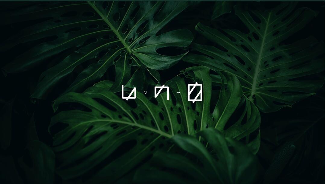 Leo Accioly 高質(zhì)量攝影公司品牌識別設(shè)計(jì)logo設(shè)計(jì)