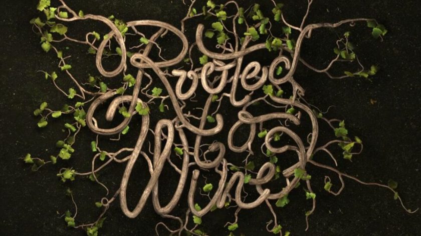 Roots 烏克蘭進(jìn)口葡萄酒公司vi設(shè)計(jì)，梯田線條元素