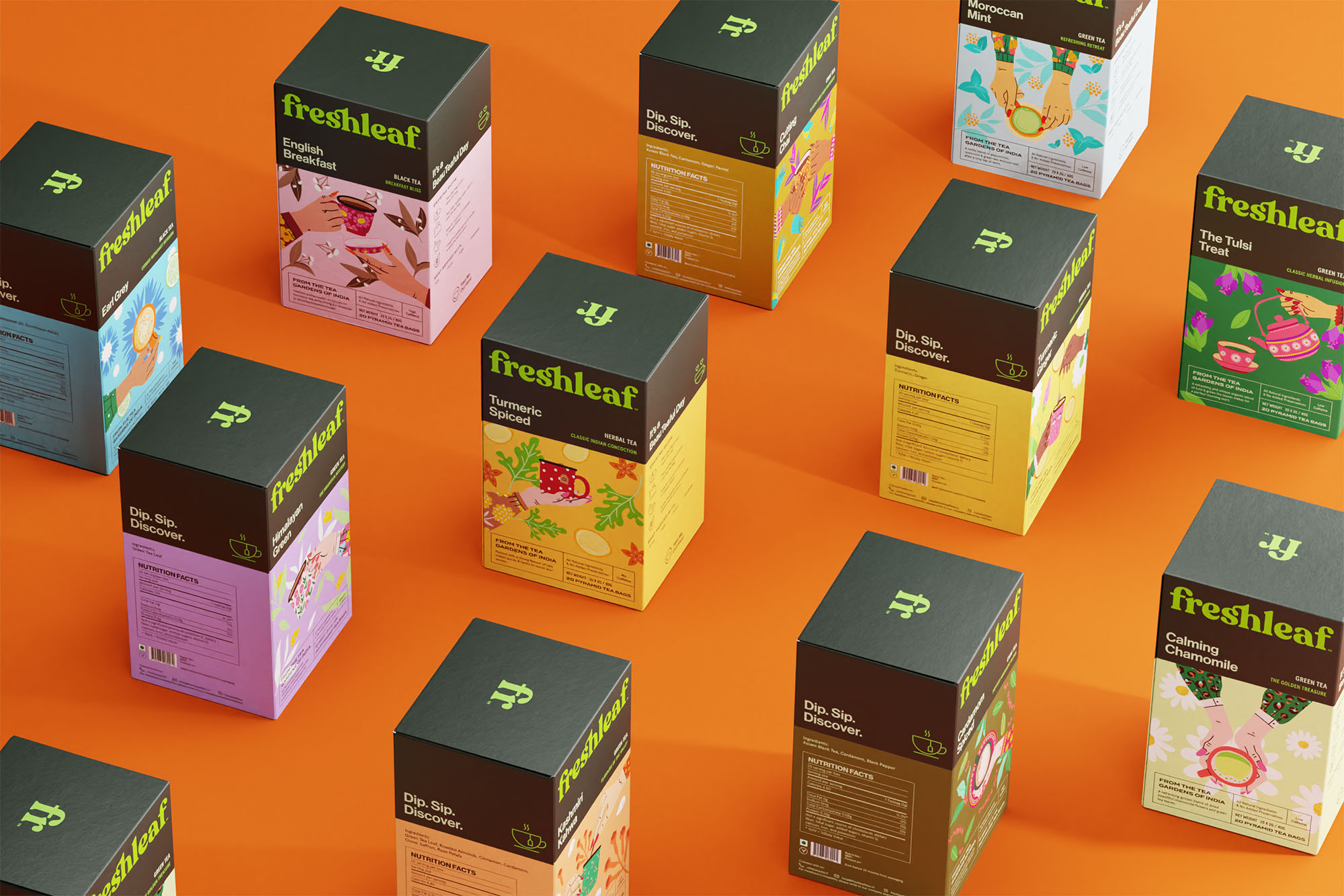 Freshleaf袋泡茶葉包裝設(shè)計(jì)，現(xiàn)代時(shí)尚矢量插畫風(fēng)格