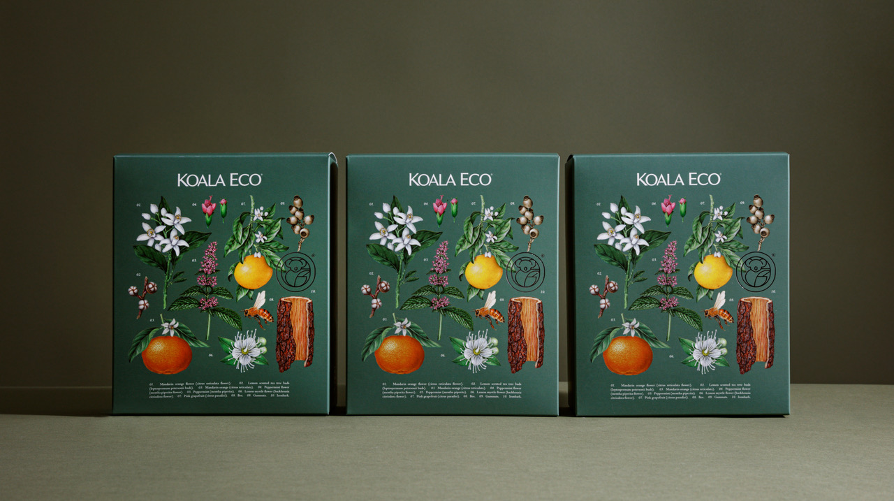 koala 植物精油綠色禮盒包裝設(shè)計，自然精致的植物花卉昆蟲插畫