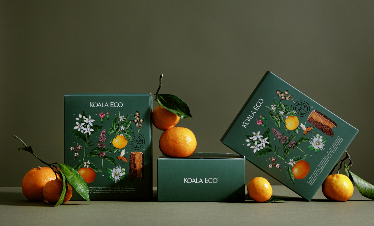 koala 植物精油綠色禮盒包裝設(shè)計，自然精致的植物花卉昆蟲插畫