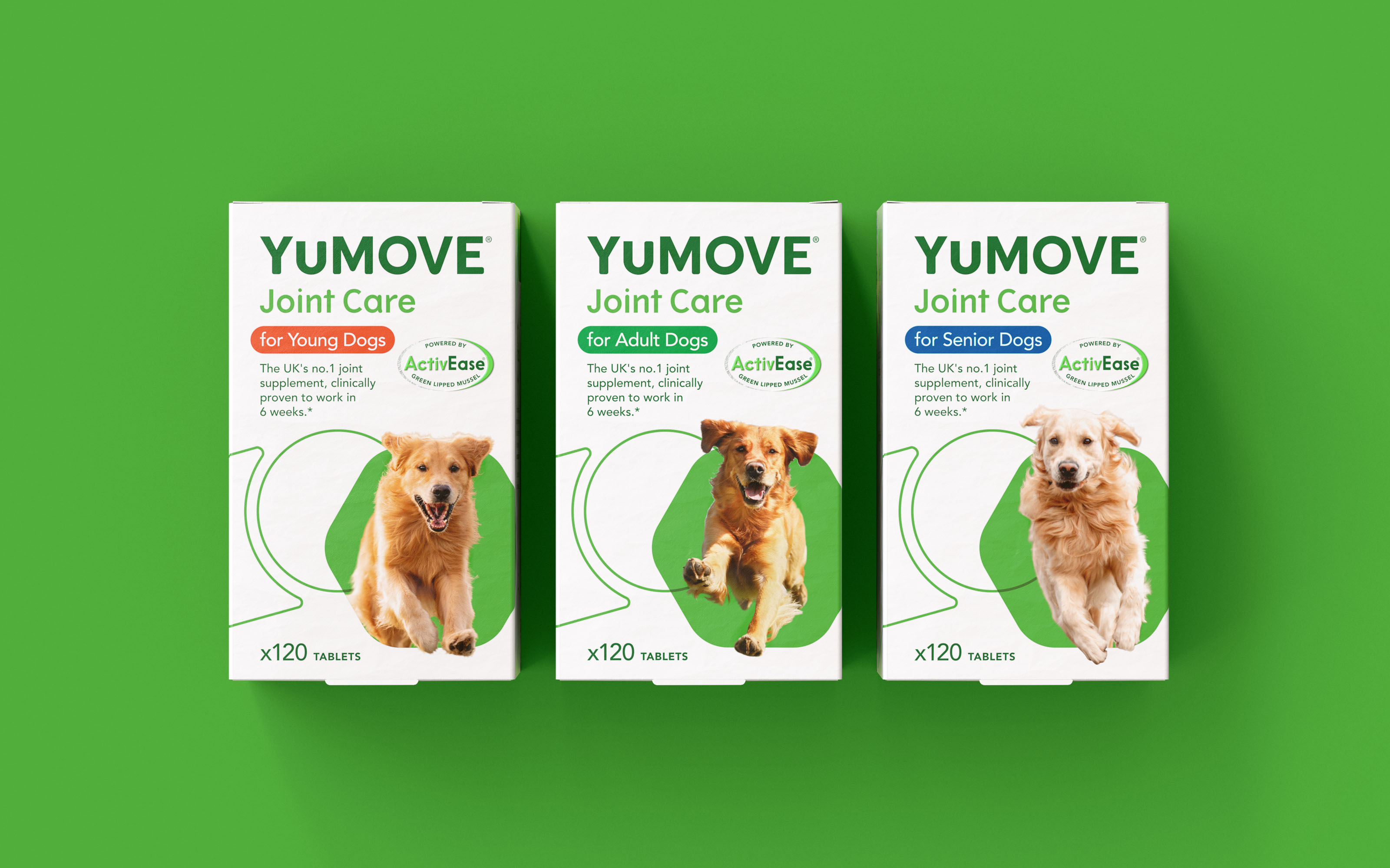 YuMOVE寵物護理品牌戰略策劃與系列產品包裝形象更新設計‘色塊+線條“ YuMOVE寵物護理品牌戰略策劃與系列產品包裝形象更新設計‘色塊+線條“