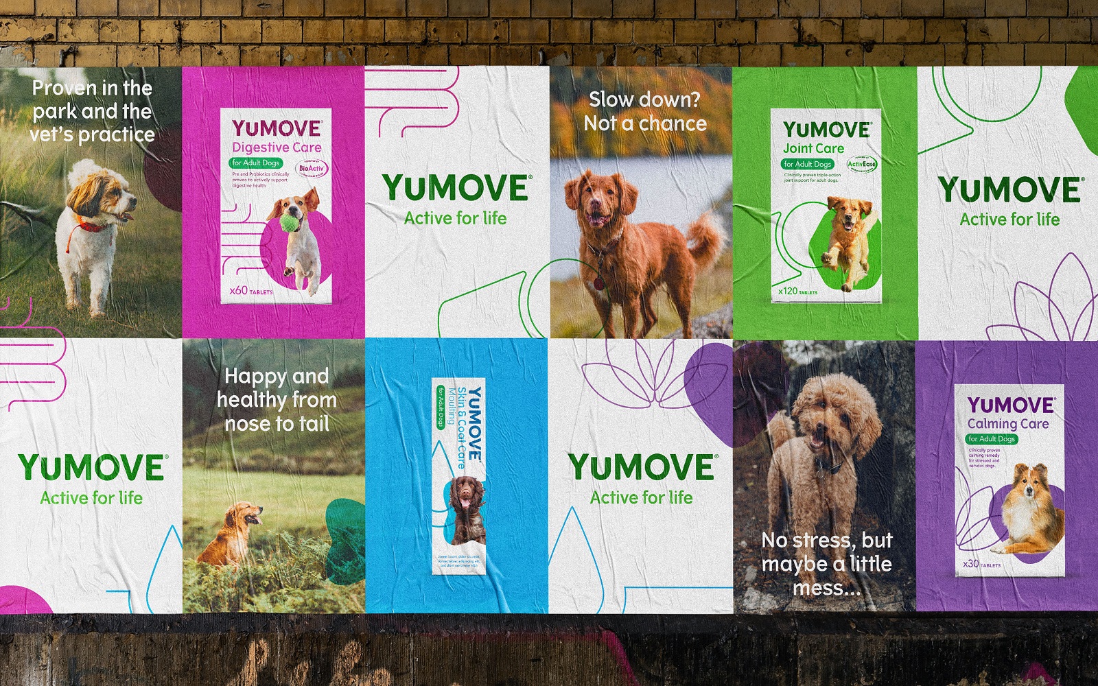 YuMOVE寵物護理品牌戰略策劃與系列產品包裝形象更新設計‘色塊+線條“ YuMOVE寵物護理品牌戰略策劃與系列產品包裝形象更新設計‘色塊+線條“