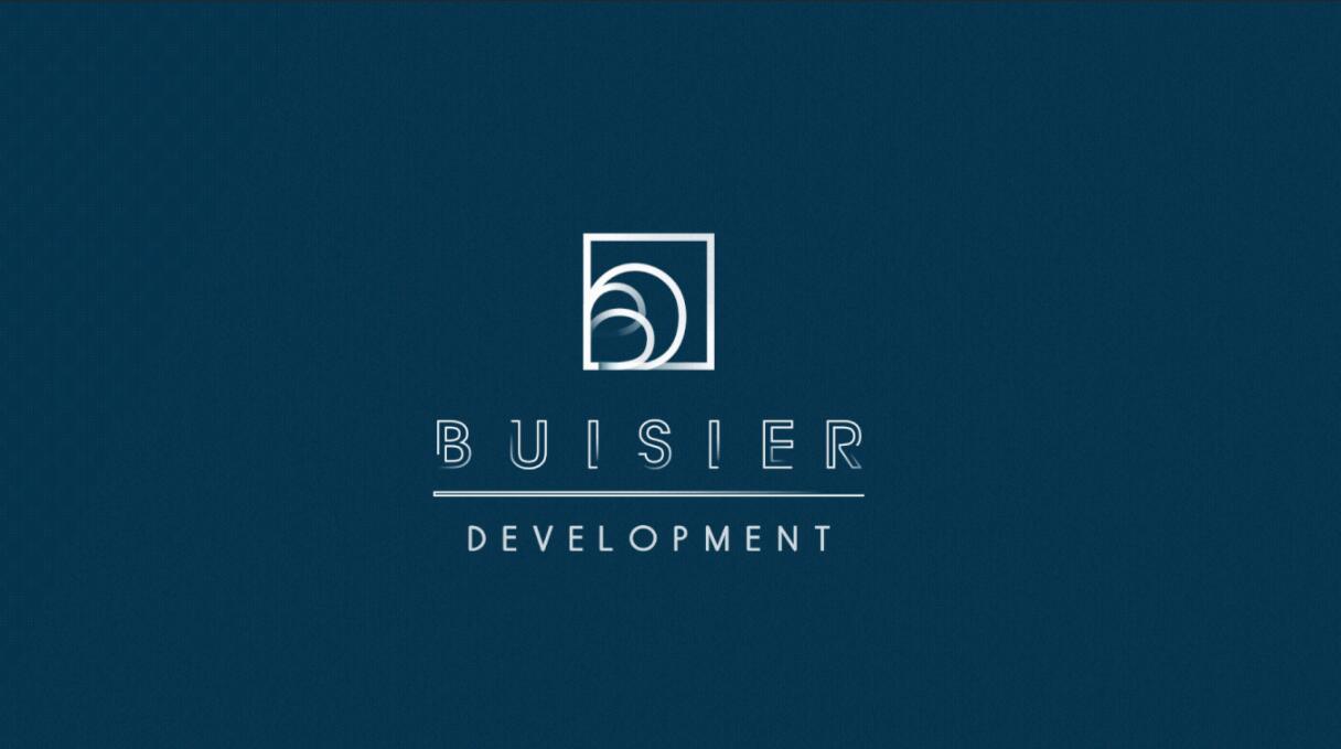 Buisier 別墅地產(chǎn)項目logo設(shè)計vi形象設(shè)計，B+D字母+方框