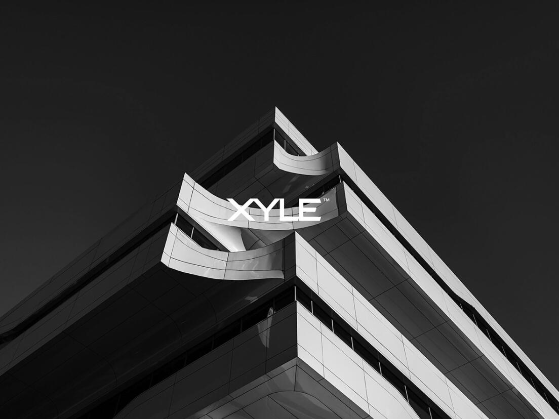Xyle建筑設(shè)計公司logo設(shè)計品牌形象vis設(shè)計，x磚塊logo與超酷黑白漸變vi風