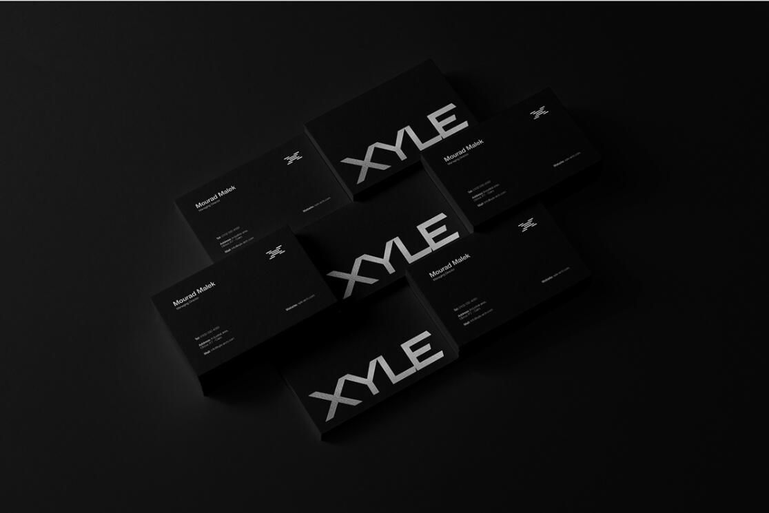 Xyle建筑設(shè)計公司logo設(shè)計品牌形象vis設(shè)計，x磚塊logo與超酷黑白漸變vi風