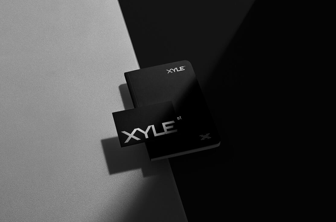 Xyle建筑設(shè)計公司logo設(shè)計品牌形象vis設(shè)計，x磚塊logo與超酷黑白漸變vi風