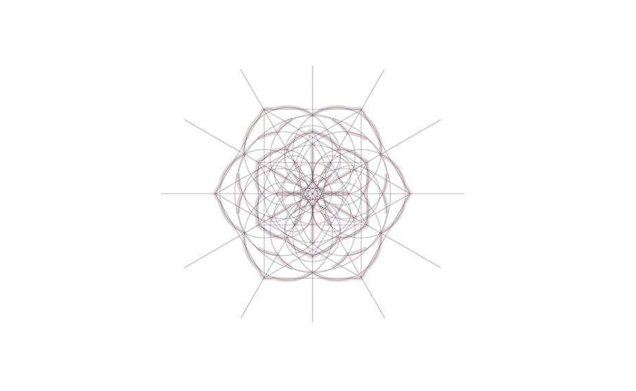 Espa?o Dermato 皮膚病醫療診所及醫美醫院logo設計vi設計，桃花元素