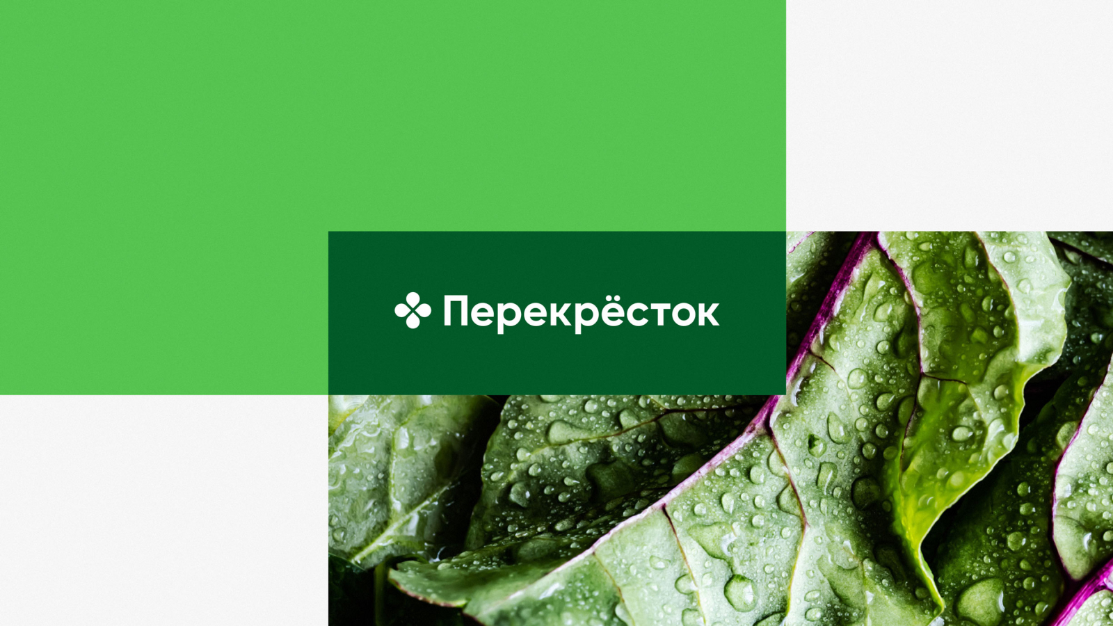 Perekrestok 零售便利連鎖店品牌vi視覺形象設計，綠色十字交叉風格