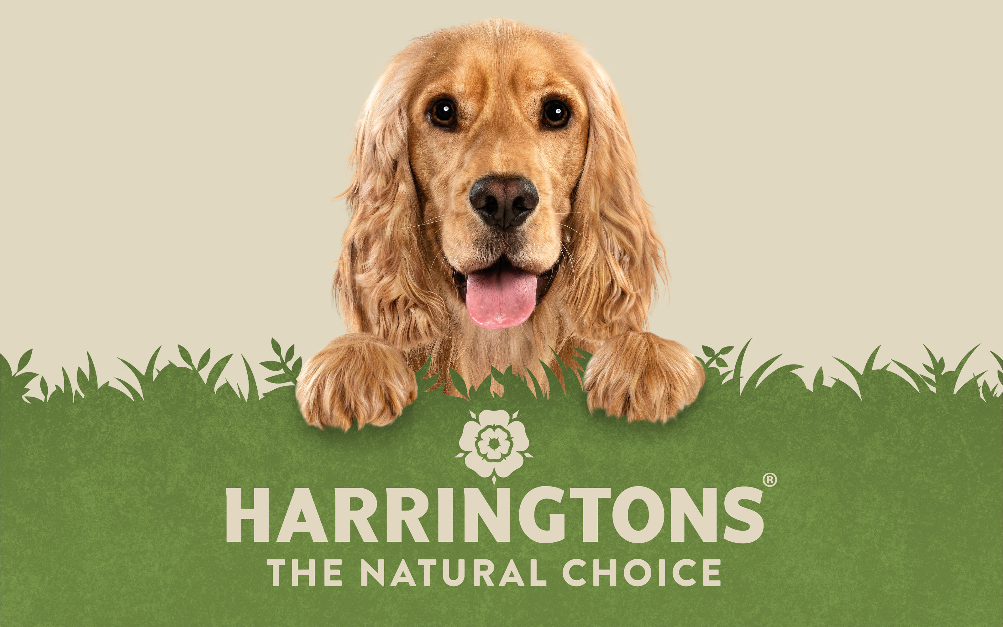 Harringtons哈靈頓貓糧狗糧寵物食品logo設(shè)計