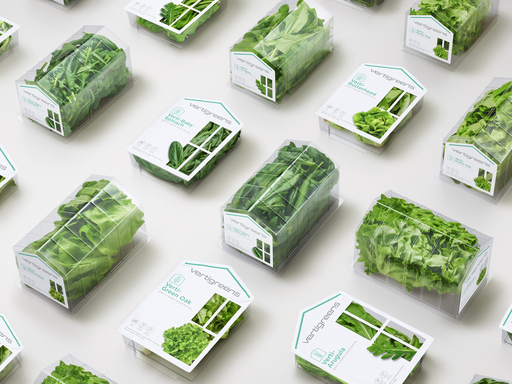 Vertigreens 垂直種植生態蔬菜包裝設計“溫室大棚房屋造型透明塑料盒”