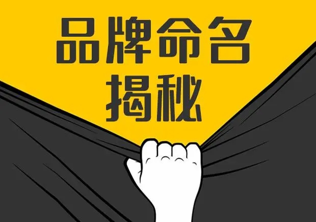 10個(gè)新興小眾有一定影響力的中小品牌命名及其命名方式