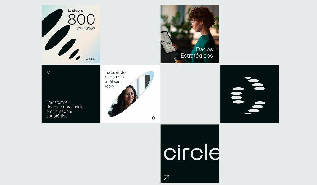 Circledata 數(shù)據(jù)分析公司logo設(shè)計(jì)品牌視覺形象vi設(shè)計(jì)。抽象橢圓形元素
