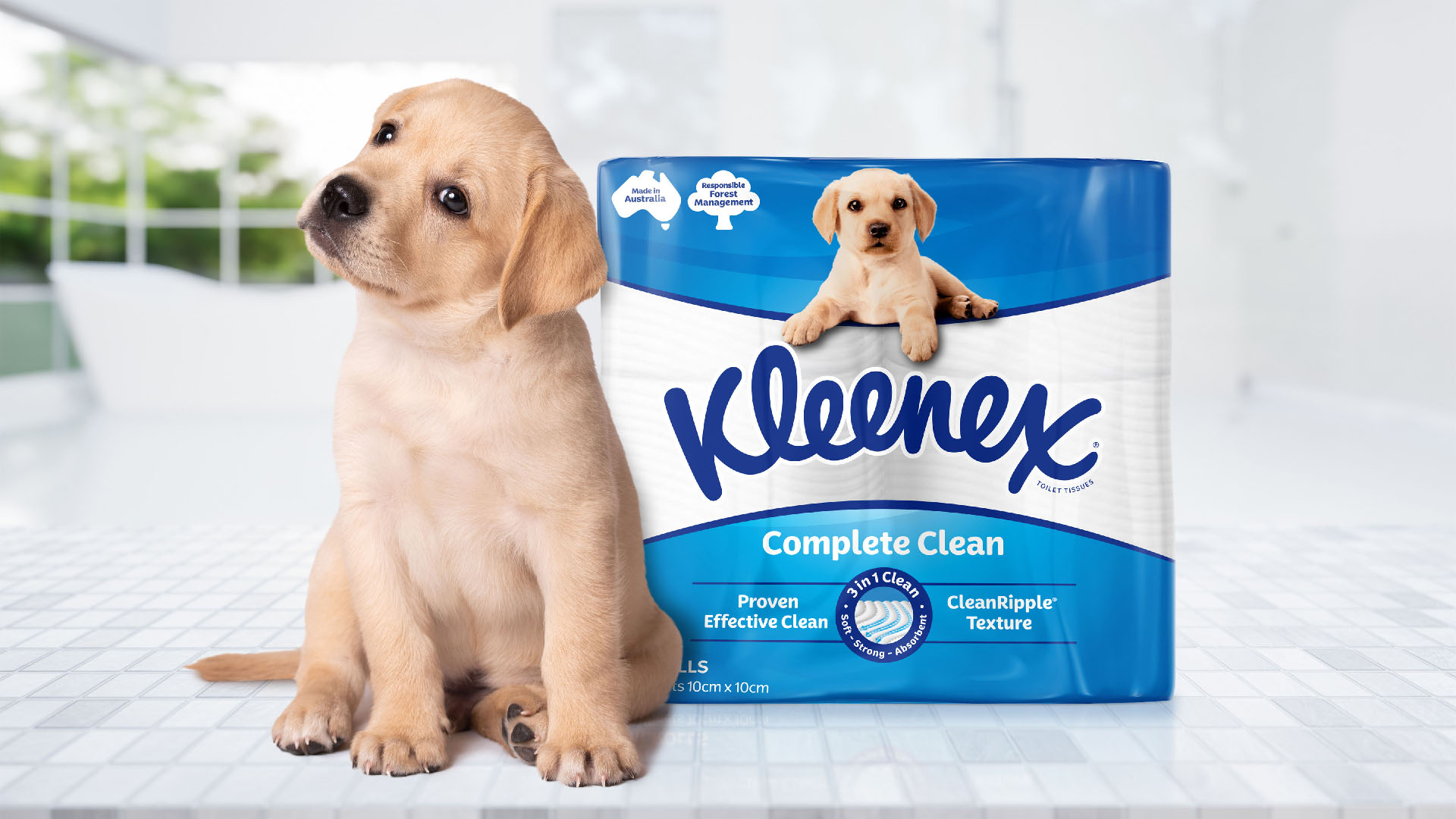 Kleenex 衛生紙包裝設計拉布拉多小狗元素