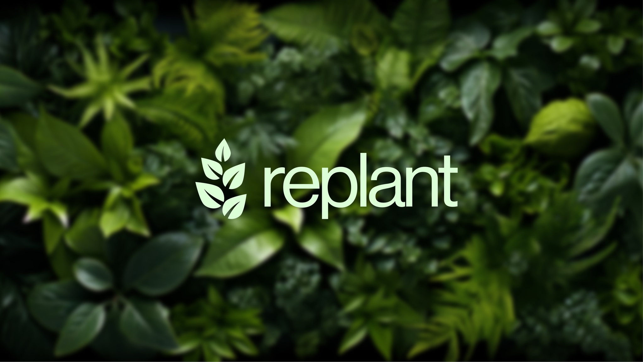 Replant 有機(jī)再生農(nóng)業(yè)技術(shù)品牌形象logo設(shè)計(jì)vi設(shè)計(jì)“自然葉子”