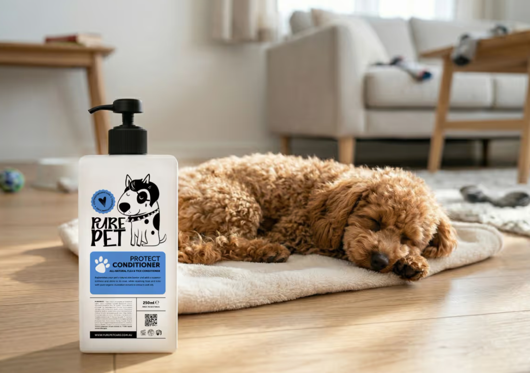 Pure Pet高端犬類清潔護理品牌包裝設計，寵物包裝臨床護理與情感品牌塑造的完美結合-上海包裝設計公司