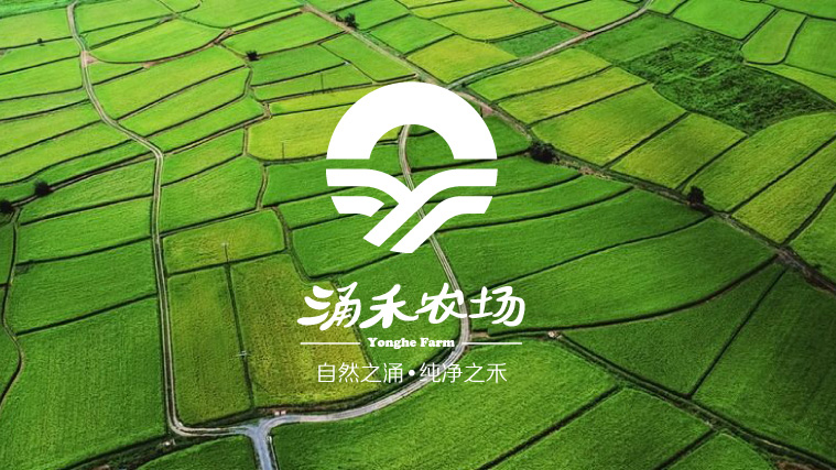 涌禾農(nóng)場(chǎng)農(nóng)業(yè)品牌商標(biāo)LOGO設(shè)計(jì)品牌VI視覺形象設(shè)計(jì)