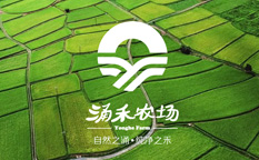 涌禾農(nóng)場農(nóng)業(yè)品牌商標(biāo)LOGO設(shè)計品牌VI視覺形象設(shè)計